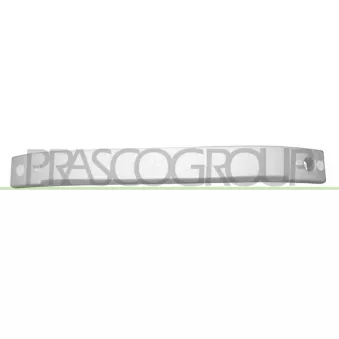 Amortisseur de choc, pare-chocs PRASCO FT3421602