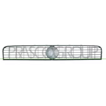 Grille de radiateur PRASCO FT3422001