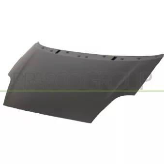 Capot-moteur PRASCO