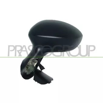 Rétroviseur extérieur PRASCO FT3427204P