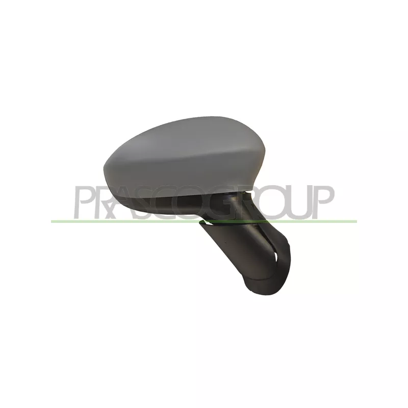 Rétroviseur extérieur PRASCO FT3427213P