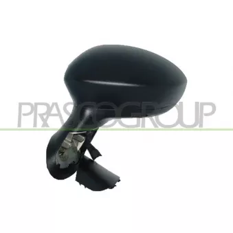 Rétroviseur extérieur PRASCO FT3427344P