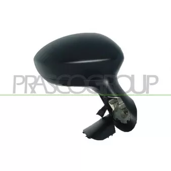 Rétroviseur extérieur PRASCO FT3427353P