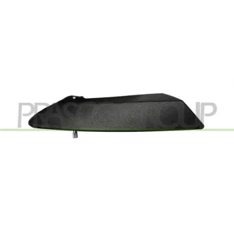 Poignet de porte, équipment intérieur avant droit PRASCO FT3428801