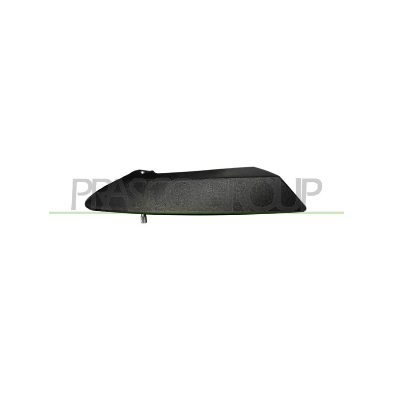 Poignet de porte, équipment intérieur avant droit PRASCO FT3428801