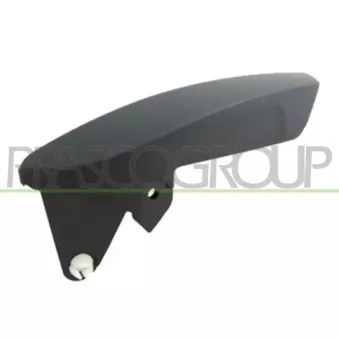 Poignet de porte, équipment intérieur avant gauche PRASCO FT3428802