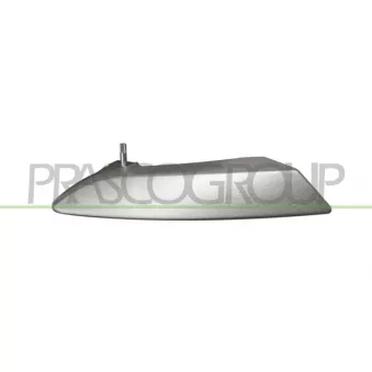Poignet de porte, équipment intérieur avant droit PRASCO FT3428807