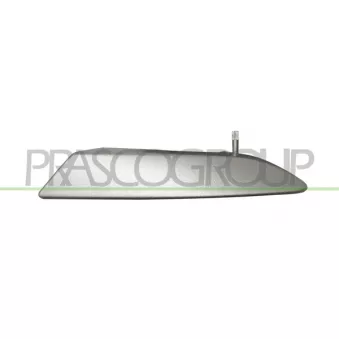 Poignet de porte, équipment intérieur avant gauche PRASCO FT3428808