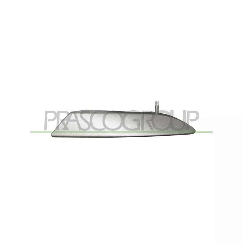Poignet de porte, équipment intérieur avant gauche PRASCO FT3428808