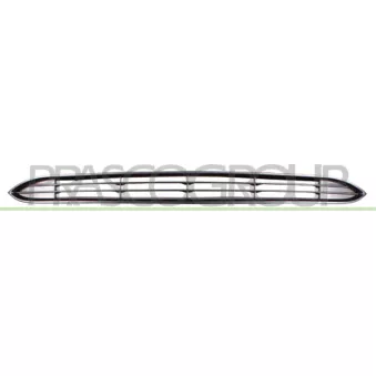 Grille de radiateur PRASCO FT3442011