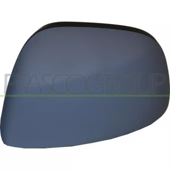Revêtement, rétroviseur extérieur PRASCO FT3607414