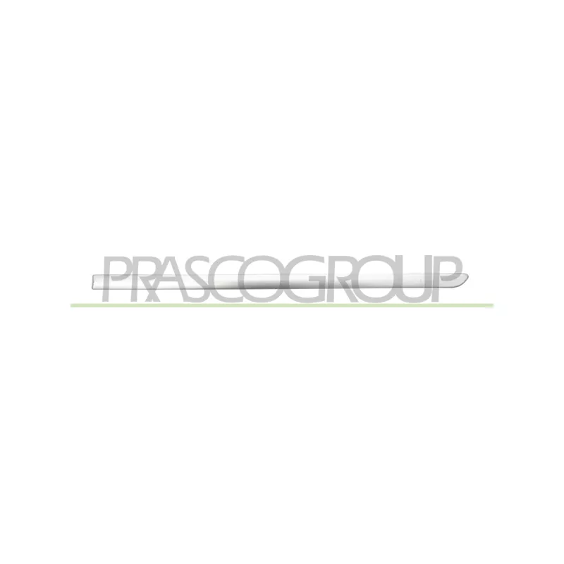 Baguette et bande protectrice, porte arrière gauche PRASCO FT4401454