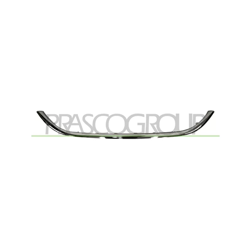 Baguette et bande protectrice, grille de radiateur PRASCO FT4482315