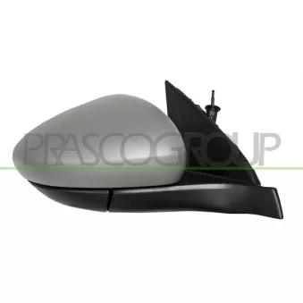 Rétroviseur extérieur PRASCO FT4487013