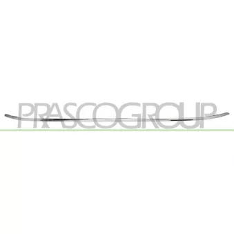 Baguette et bande protectrice, grille de radiateur PRASCO FT4501245