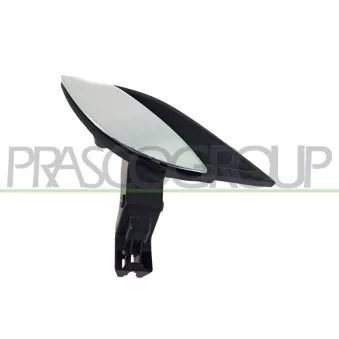 Poignet de porte, équipment intérieur avant droit PRASCO FT5208601