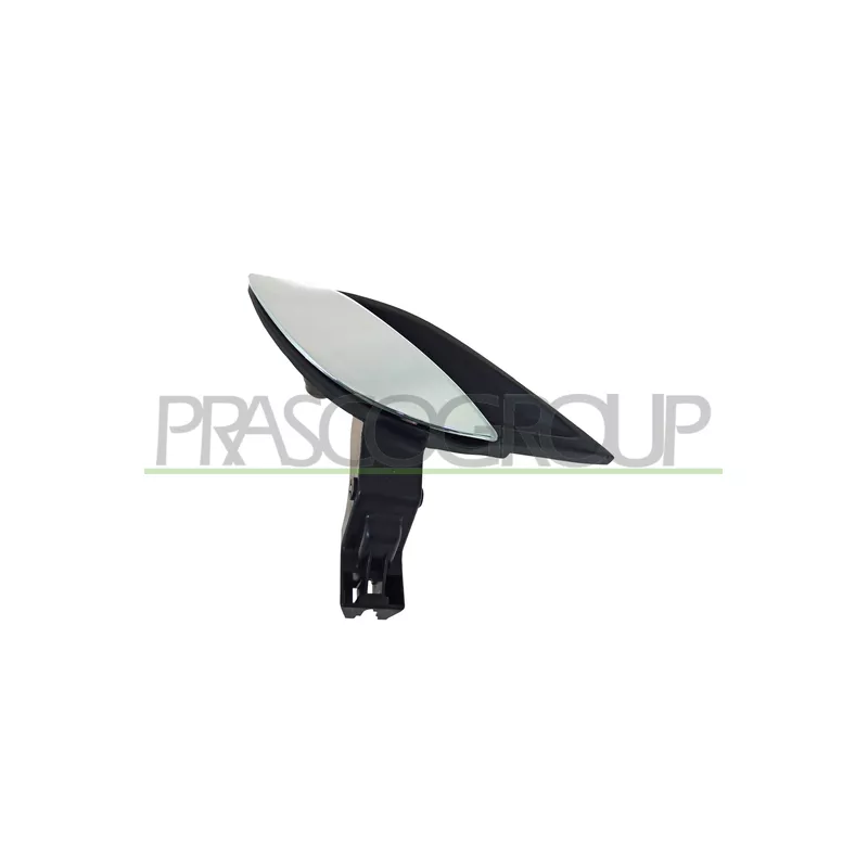 Poignet de porte, équipment intérieur avant droit PRASCO FT5208601