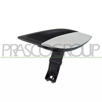 Poignet de porte, équipment intérieur avant gauche PRASCO FT5208602