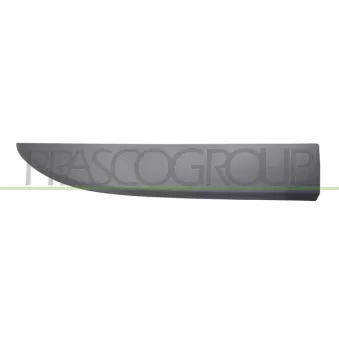 Baguette et bande protectrice, porte avant droit PRASCO FT9001403