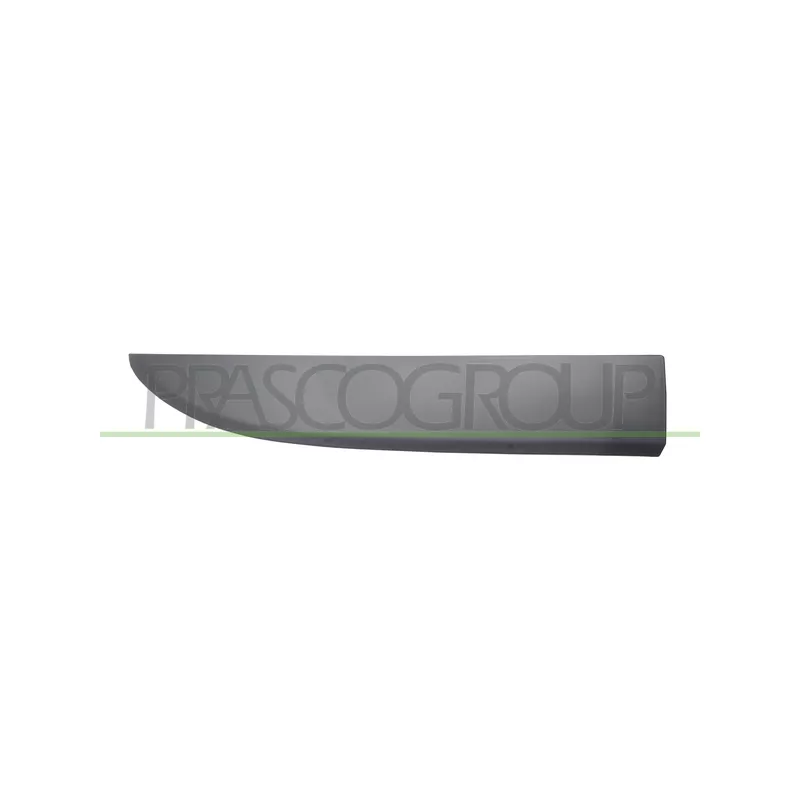 Baguette et bande protectrice, porte avant droit PRASCO FT9001403