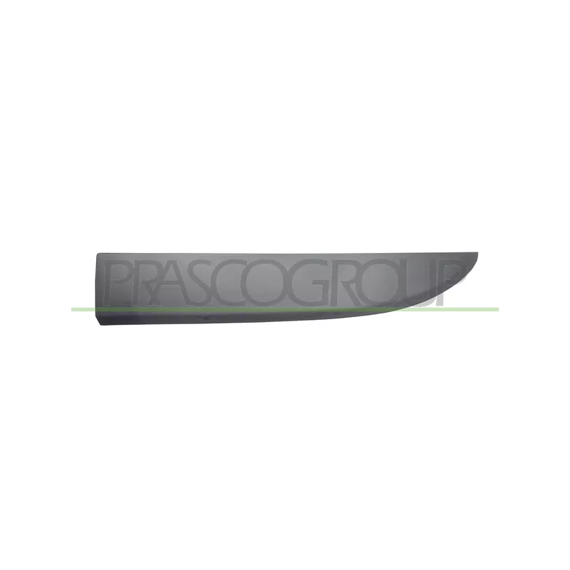 Baguette et bande protectrice, porte avant gauche PRASCO FT9001404