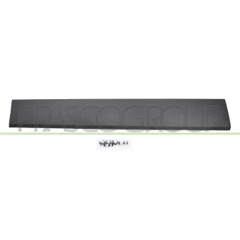 Baguette et bande protectrice, porte arrière droit PRASCO FT9001453