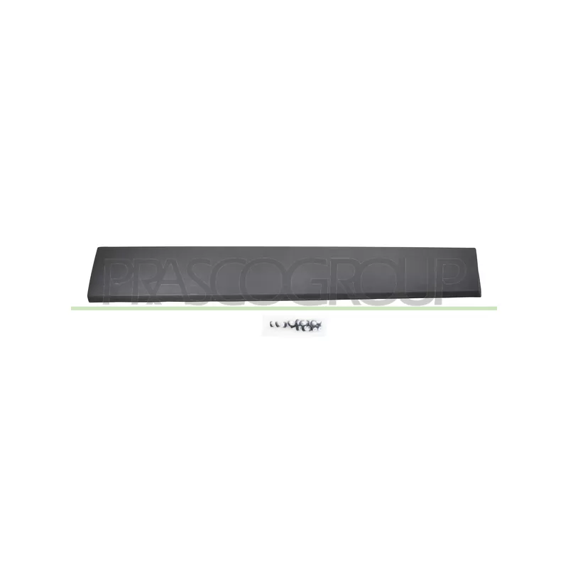 Baguette et bande protectrice, porte arrière gauche PRASCO FT9001454