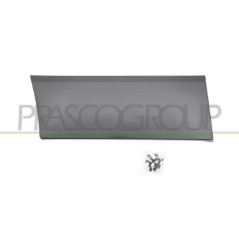 Baguette et bande protectrice, aile arrière droit PRASCO FT9001455