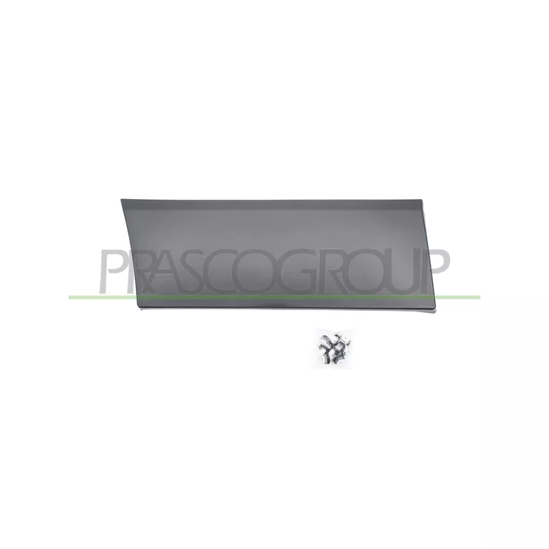 Baguette et bande protectrice, aile arrière droit PRASCO FT9001455