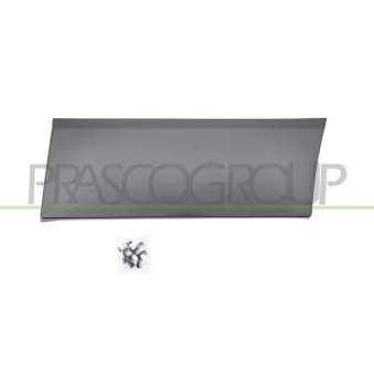Baguette et bande protectrice, aile arrière gauche PRASCO FT9001456