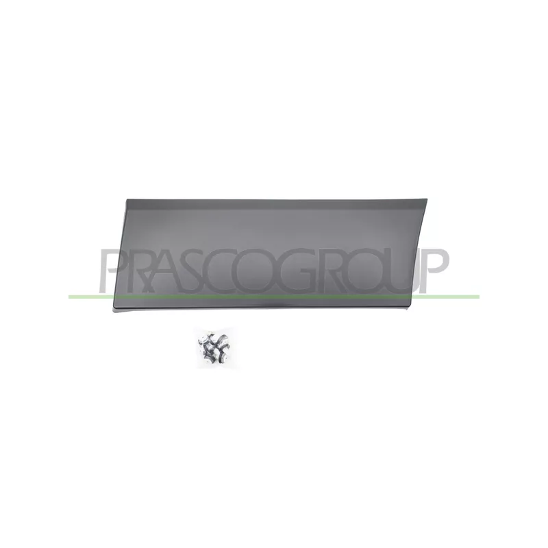 Baguette et bande protectrice, aile arrière gauche PRASCO FT9001456