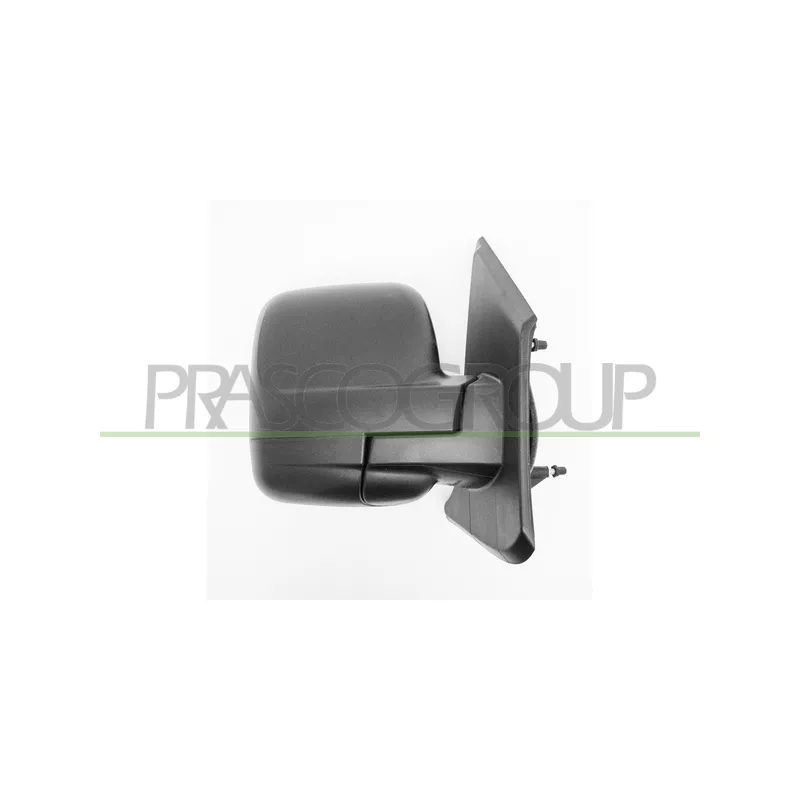 Rétroviseur extérieur PRASCO FT9007003
