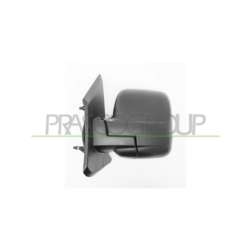 Rétroviseur extérieur PRASCO FT9007004
