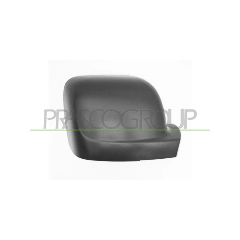 Revêtement, rétroviseur extérieur PRASCO FT9007403