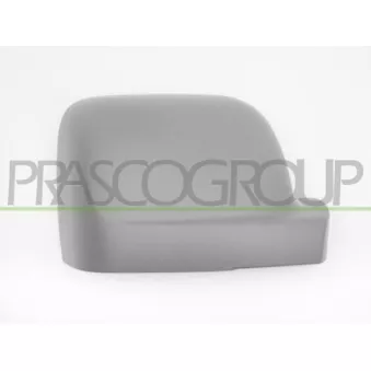 Revêtement, rétroviseur extérieur PRASCO FT9007413