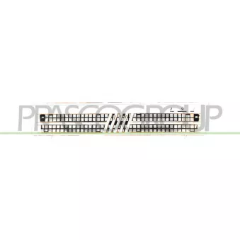 Grille de radiateur PRASCO FT9062000