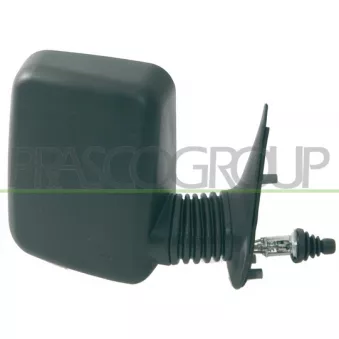 Rétroviseur extérieur PRASCO FT9067133