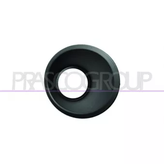 Cadre, projecteur antibrouillard PRASCO FT9071241