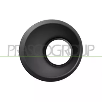Cadre, projecteur antibrouillard PRASCO FT9071242