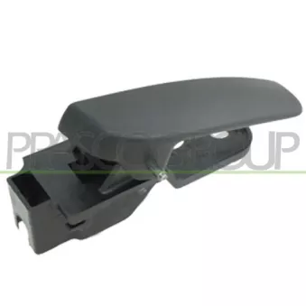 Poignet de porte, équipment intérieur avant gauche PRASCO FT9078402