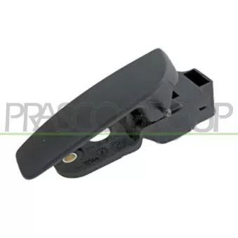 Poignet de porte, équipment intérieur arrière droit PRASCO FT9078501