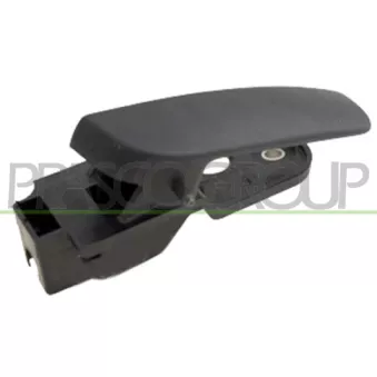 Poignet de porte, équipment intérieur arrière gauche PRASCO FT9078502