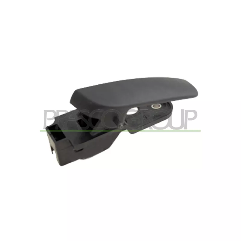 Poignet de porte, équipment intérieur arrière gauche PRASCO FT9078502