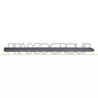 Baguette et bande protectrice, porte avant droit PRASCO FT9081403