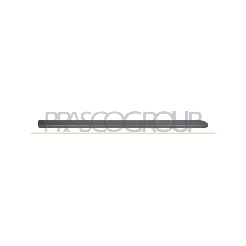 Baguette et bande protectrice, porte avant droit PRASCO FT9081403