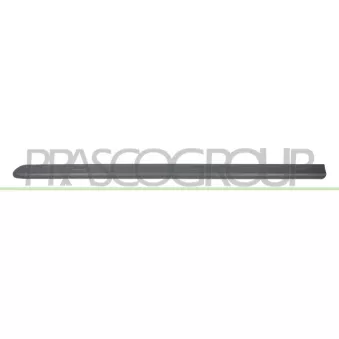 Baguette et bande protectrice, porte avant gauche PRASCO FT9081404