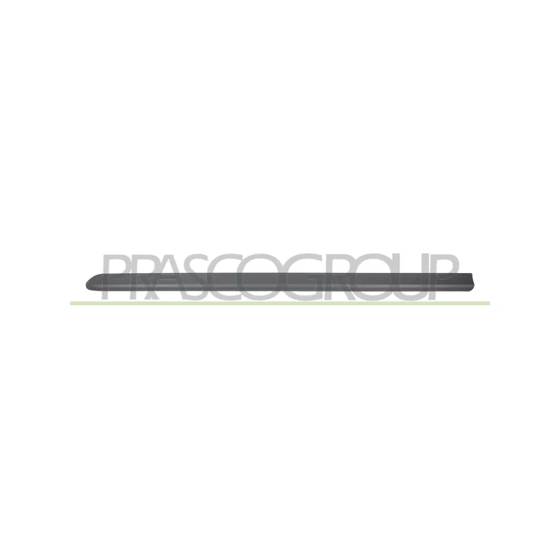 Baguette et bande protectrice, porte avant gauche PRASCO FT9081404