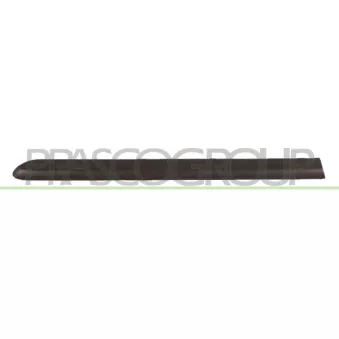 Baguette et bande protectrice, porte arrière droit PRASCO FT9081453