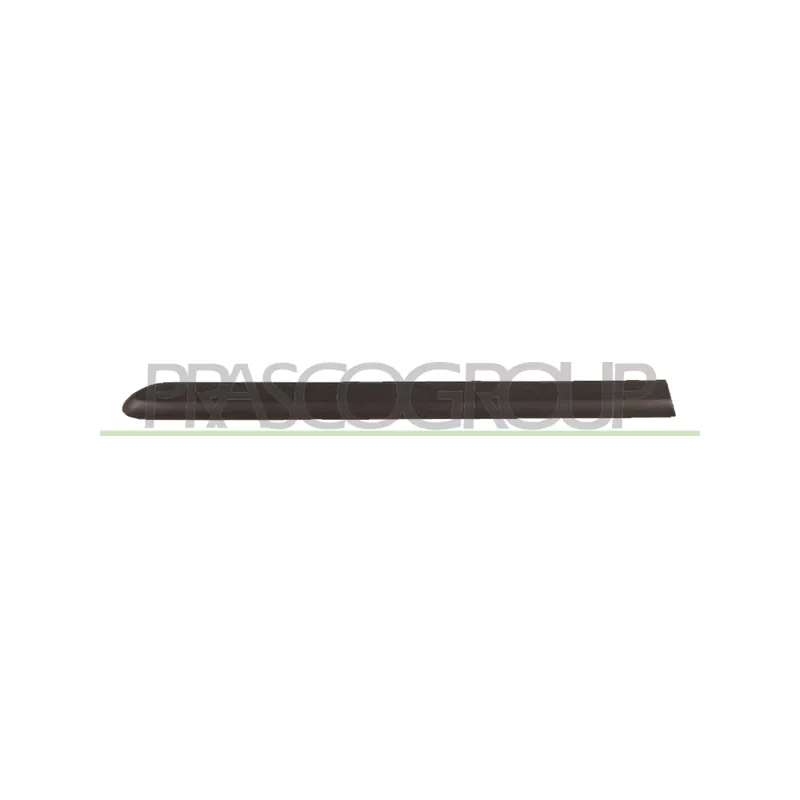 Baguette et bande protectrice, porte arrière droit PRASCO FT9081453