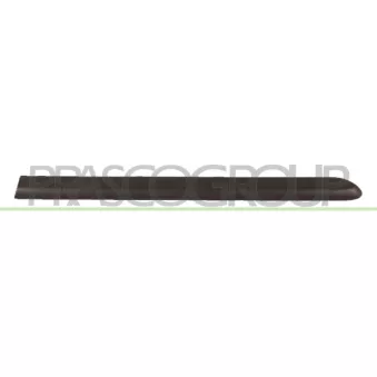 Baguette et bande protectrice, porte arrière gauche PRASCO FT9081454